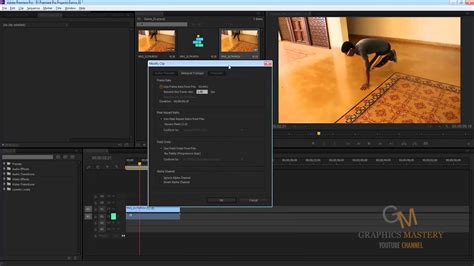 premiere pro change fps.